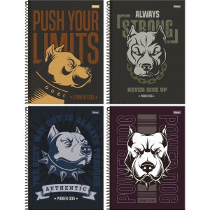 Caderno 20 Matérias Power Dog 320fls Foroni