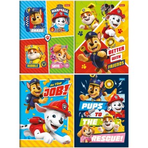 Caderno Brochura Patrulha Canina 80 Folhas Foroni