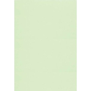 Papel Cartolina 150g 50x66cm - Verde c/100