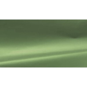 Papel Cartolina Laminada 49x59cm - Verde Claro c/20